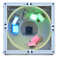 The lights The lights